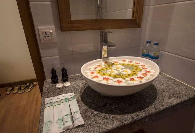 اتاق استاندارد, Bagan Vertex