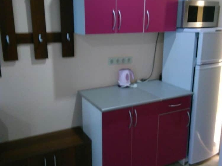 آپارتمان راحتی 1 خوابه, Olga