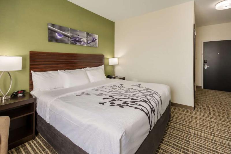 غرفة قياسية سرير كينج, Sleep Inn & Suites Yukon Oklahoma City