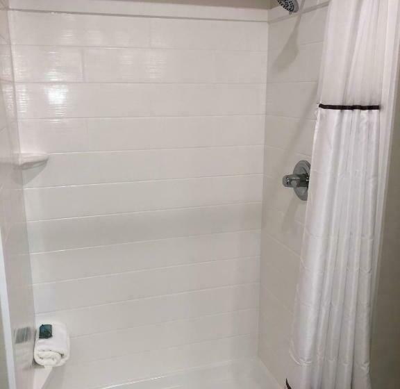 스탠다드 룸 킹사이즈 침대, Grandstay Hotel & Suites Rock Valley