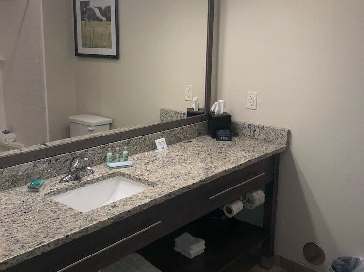 스위트, Grandstay Hotel & Suites Rock Valley