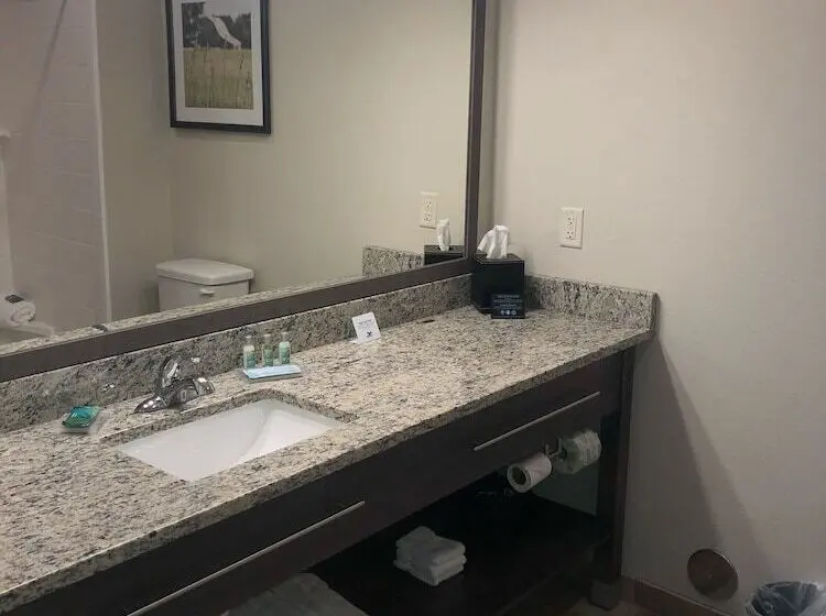 スイート, Grandstay Hotel & Suites Rock Valley
