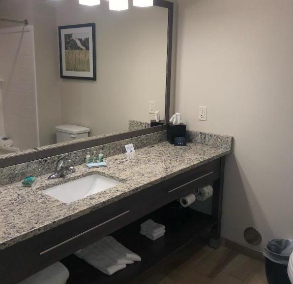 스탠다드 룸 킹사이즈 침대, Grandstay Hotel & Suites Rock Valley