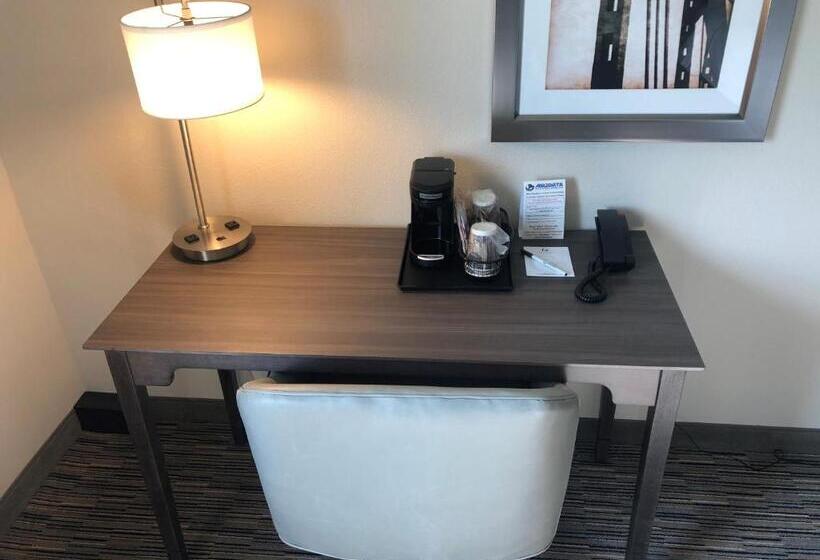 스탠다드 룸 킹사이즈 침대, Grandstay Hotel & Suites Rock Valley