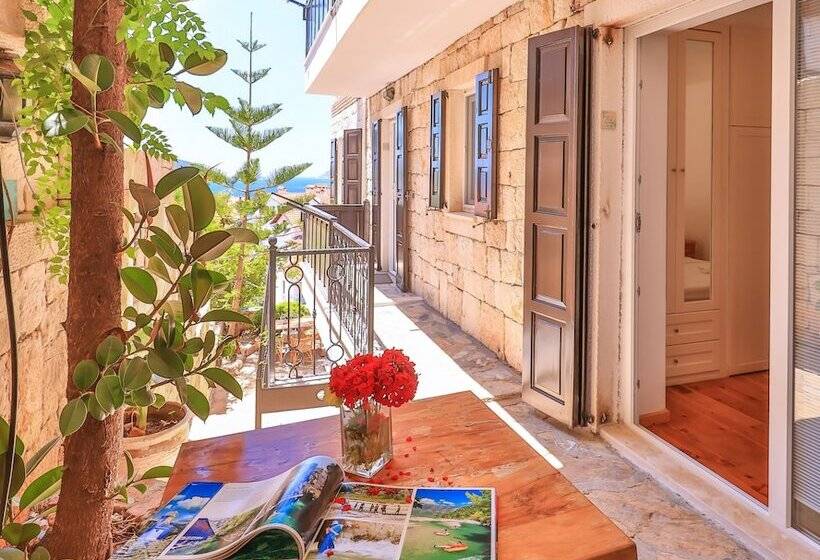 Economy Zimmer, Luna Kaş
