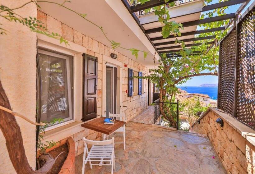 חדר אקונומי, Luna Kaş