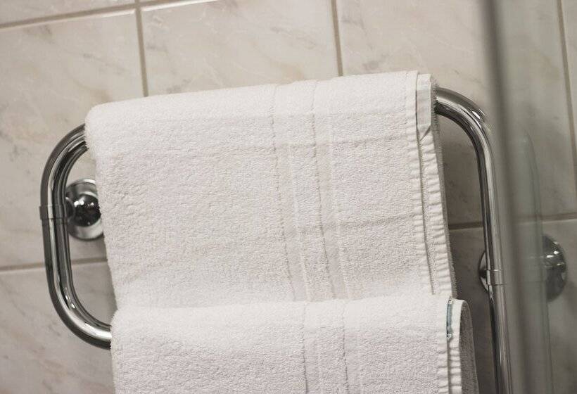 スタンダードルーム, Mojo Hotell