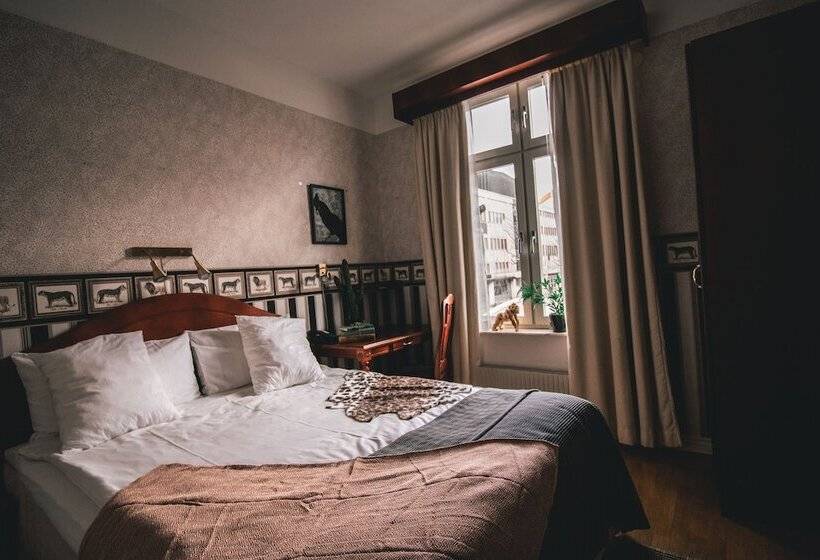 スタンダードルーム, Mojo Hotell