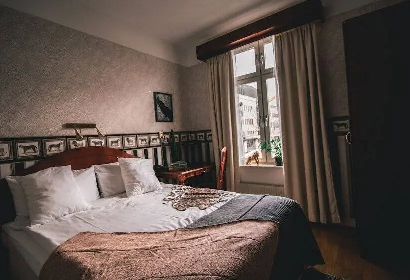 اتاق استاندارد, Mojo Hotell