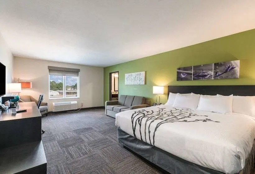 身障者適用スイートルーム, Sleep Inn