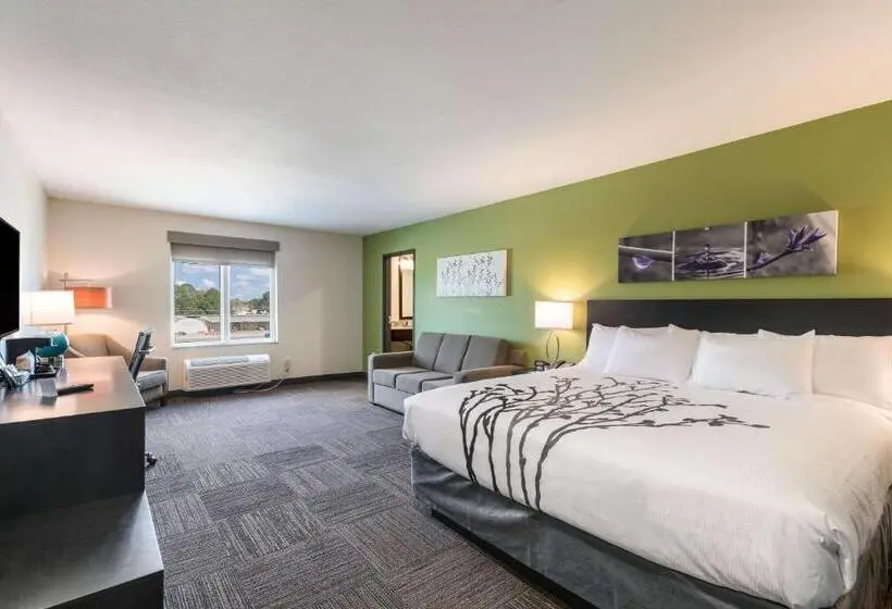 キングサイズベッドのスイートルーム, Sleep Inn
