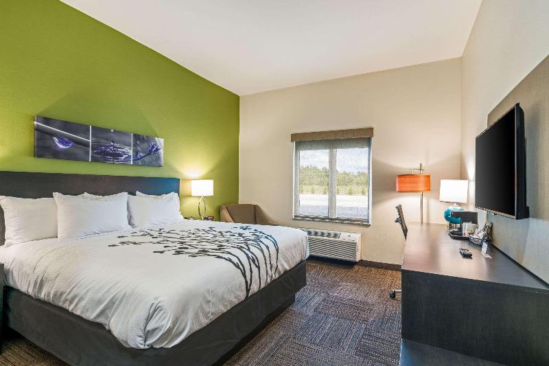 غرفة قياسية سرير كينج, Sleep Inn