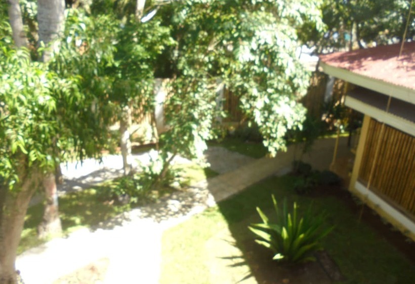 اتاق سوپریور سه تخته, Maya Playa