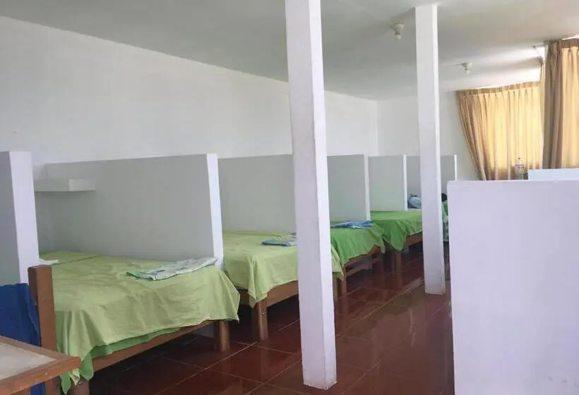 共同バス付シェアルーム, Paracas Backpackers House