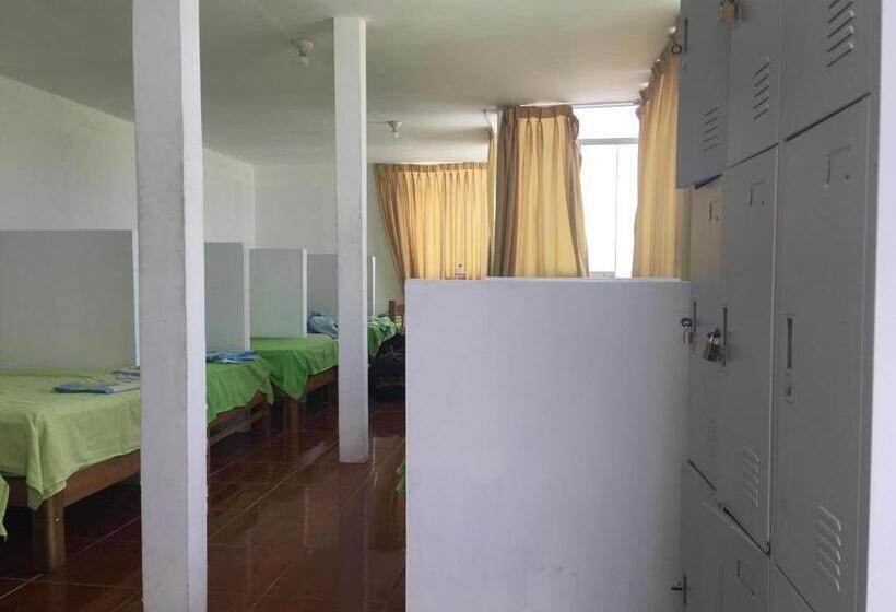 سرير فى غرفة مشتركة مزودة بحمام مشترك, Paracas Backpackers House