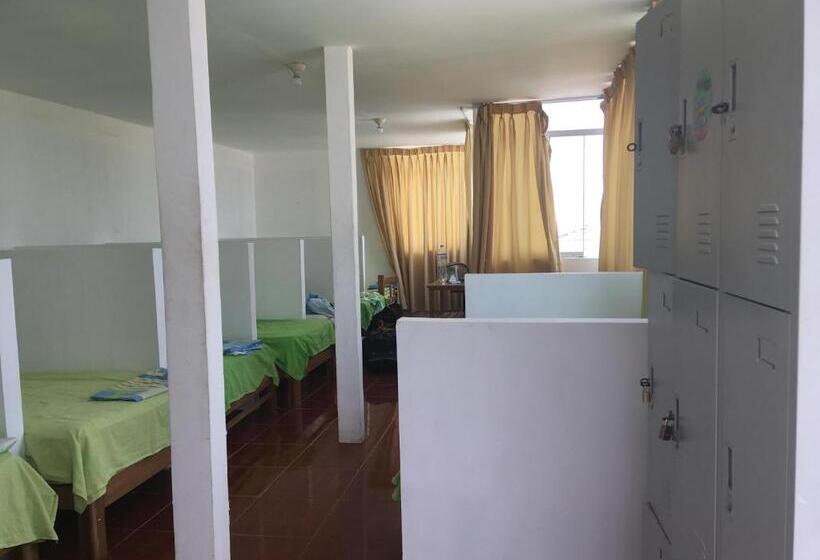 سرير فى غرفة مشتركة مزودة بحمام مشترك, Paracas Backpackers House