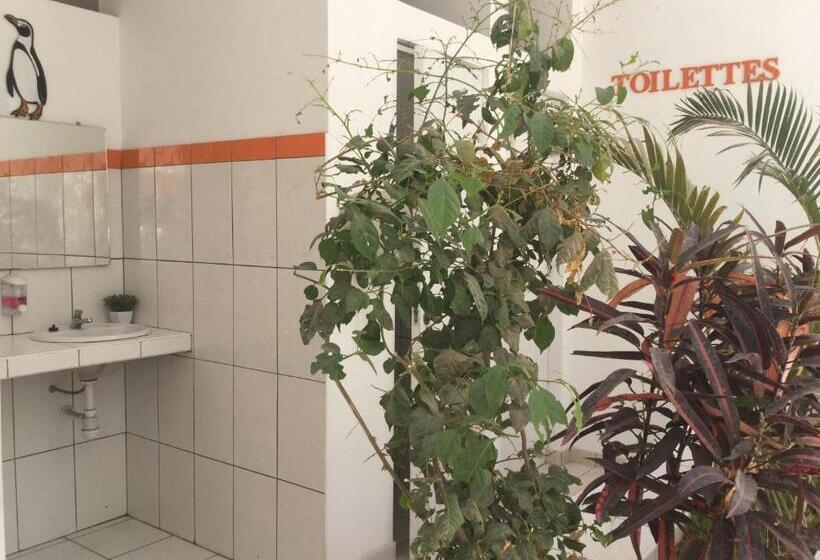 سرير فى غرفة مشتركه, Paracas Backpackers House