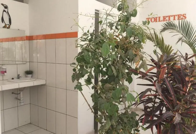 ルームシェアのワンベッド, Paracas Backpackers House