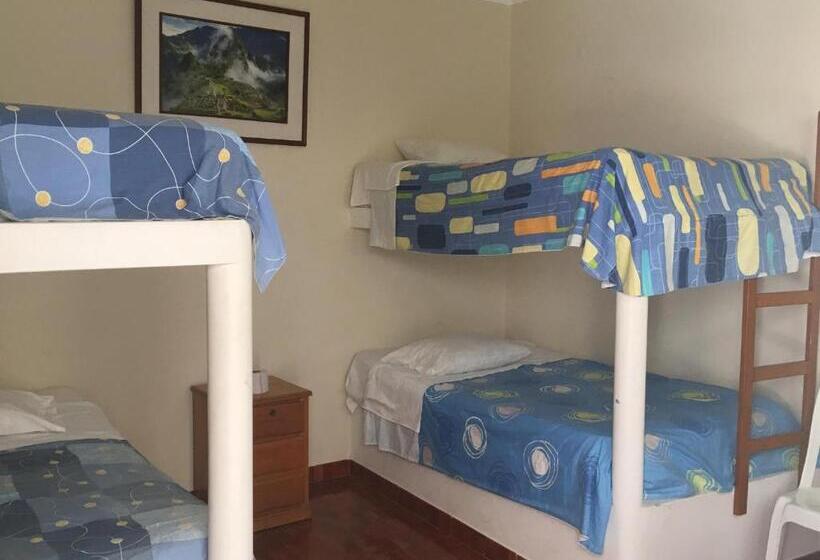 공동 객실, Paracas Backpackers House