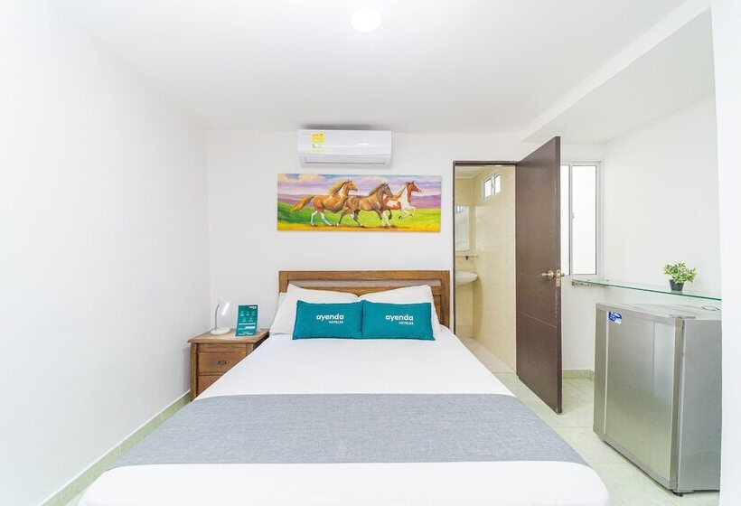 اتاق استاندارد, Ayenda Casa Paraiso 1327