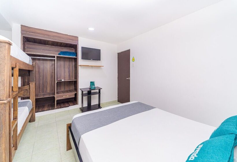 اتاق استاندارد چهار تخته, Ayenda Casa Paraiso 1327