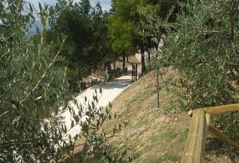 اتاق لوکس, Camere Ramaccia