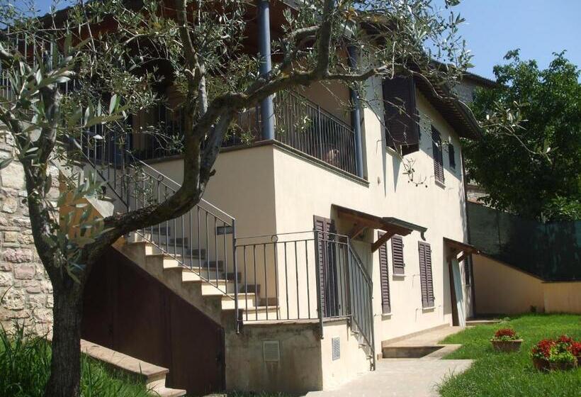 اتاق لوکس, Camere Ramaccia