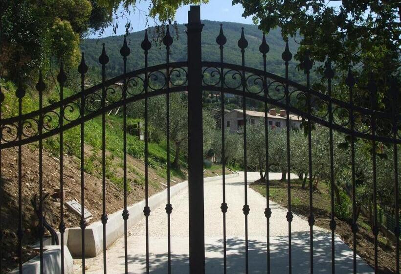 اتاق لوکس, Camere Ramaccia