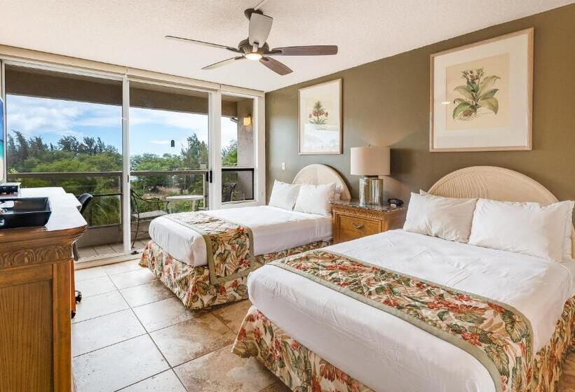 Quarto Estandar Vista Mar Lateral, Castle At Maui Banyan