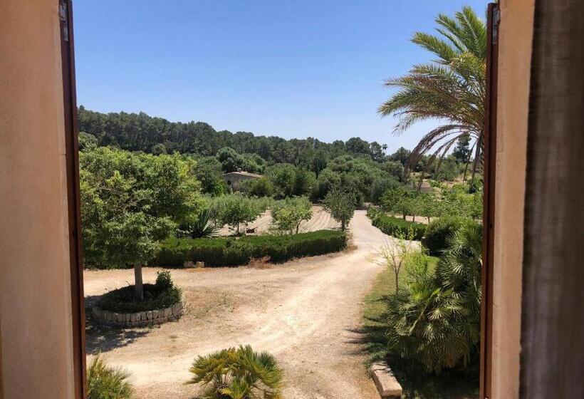 Номер Стандарт, Finca Es Rafal, Agroturisme