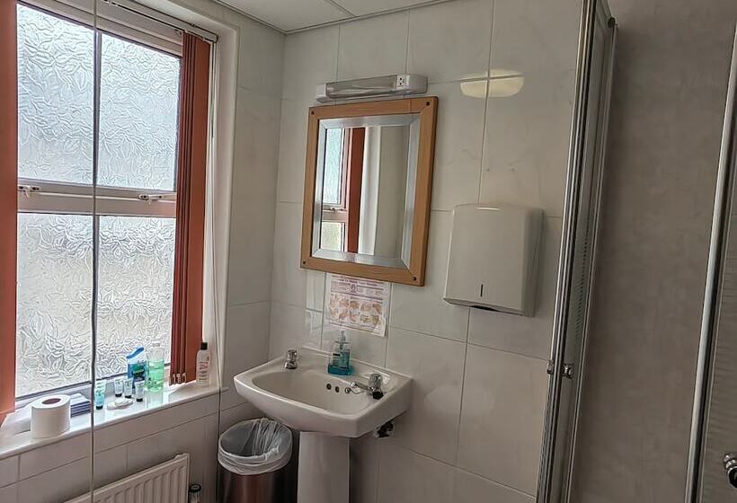 חדר סטנדרט, Cardigan And Celtic Bay Guest House