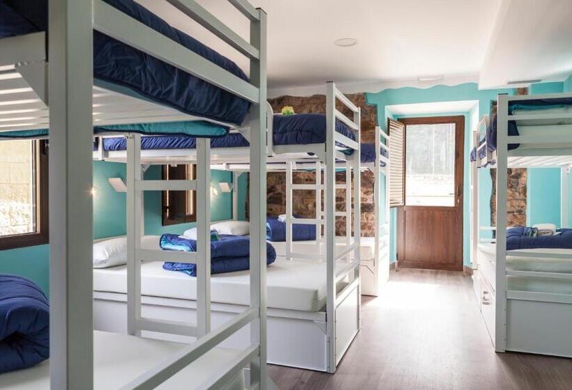 سرير فى غرفة مشتركه, Villa Palatina Superior Hostel