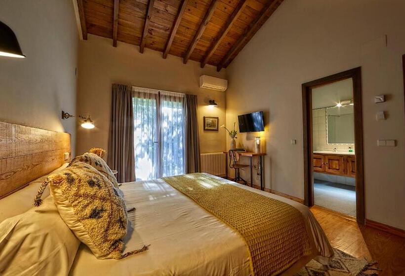 اتاق سوپریور, Sabina