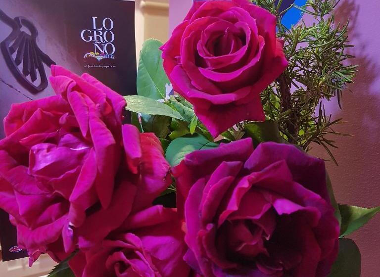 חדר סטנדרט, Pensión Entreviñas