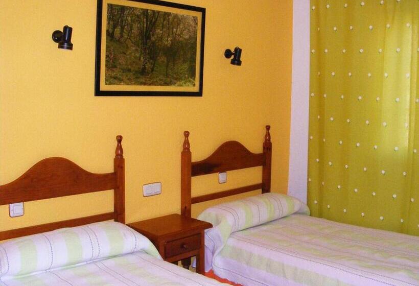 اتاق استاندارد یک نفره, Hostal Avenida