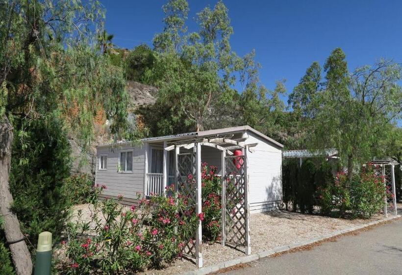 スタンダードバンガロー, Centro Vacacional Macenas