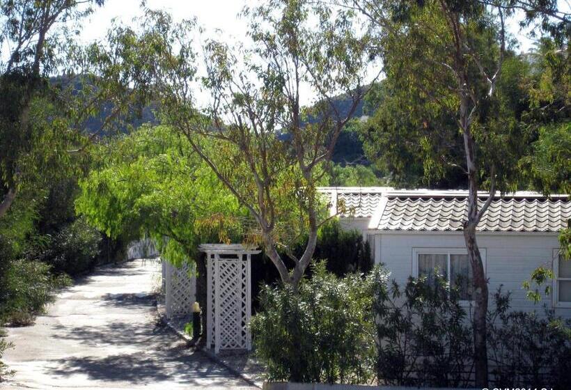 スタンダードバンガロー, Centro Vacacional Macenas