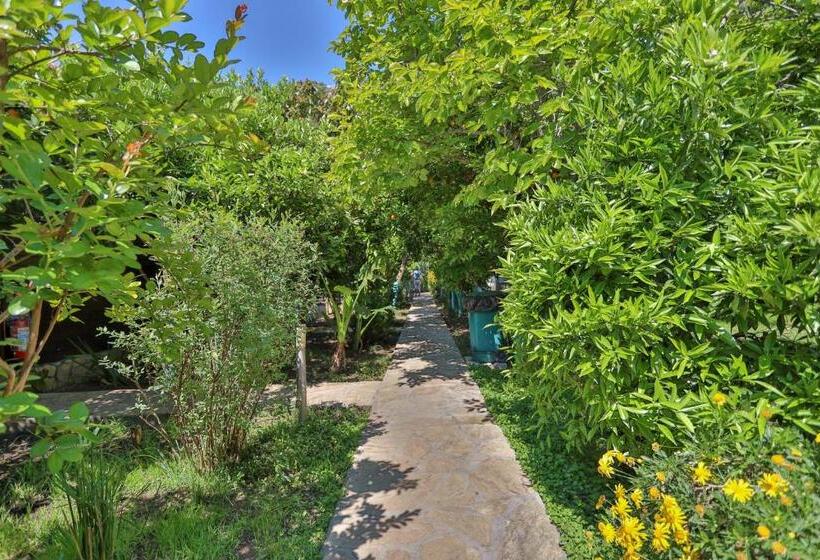 בקתה סטנדרטית, Cinderella Pansiyon