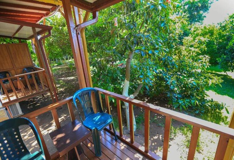 חדר סטנדרט, Cinderella Pansiyon