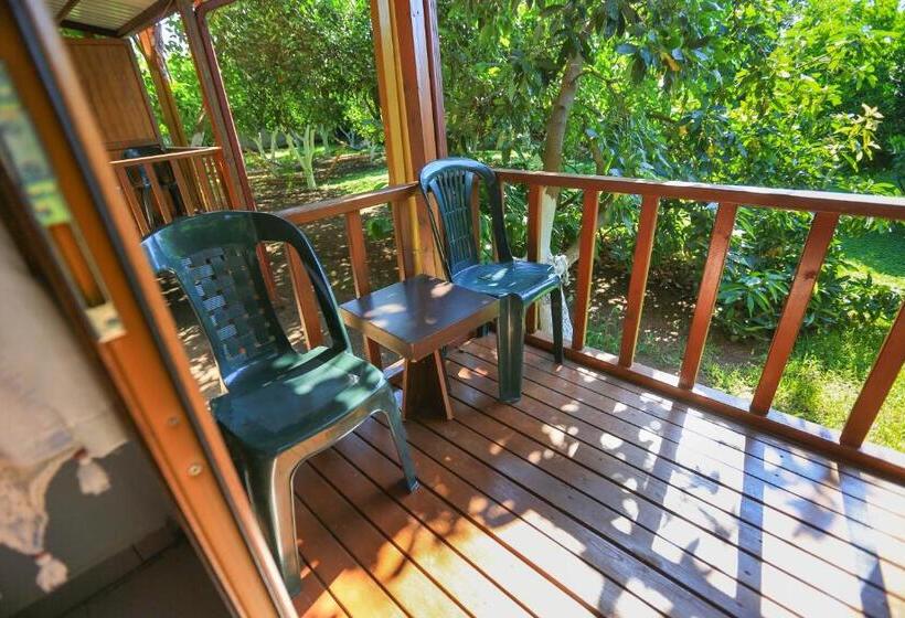 חדר סטנדרט, Cinderella Pansiyon