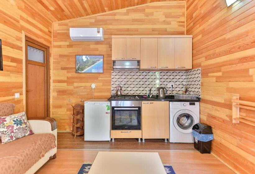 בונגלו משפחתי, Cinderella Pansiyon