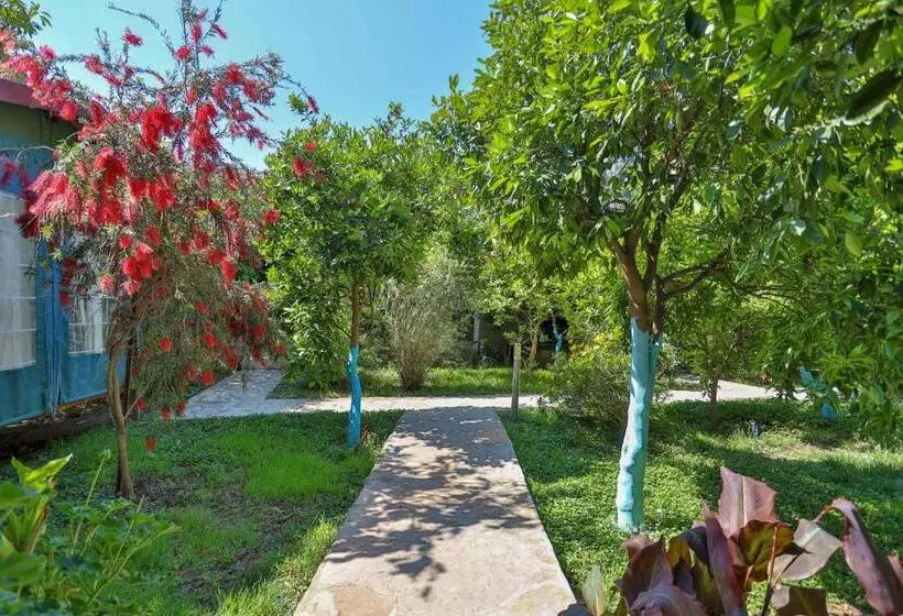 اتاق استاندارد با چشمانداز کوهستان, Cinderella Pansiyon