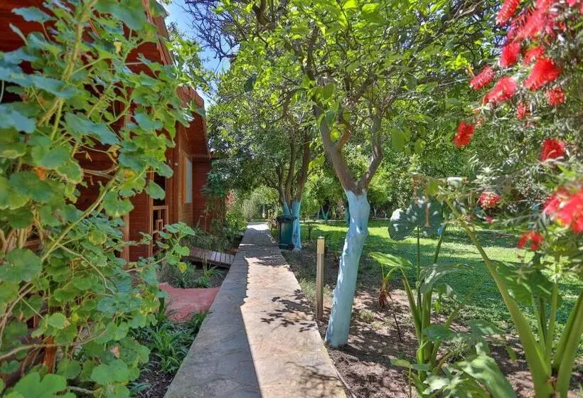 اتاق استاندارد با چشمانداز کوهستان, Cinderella Pansiyon