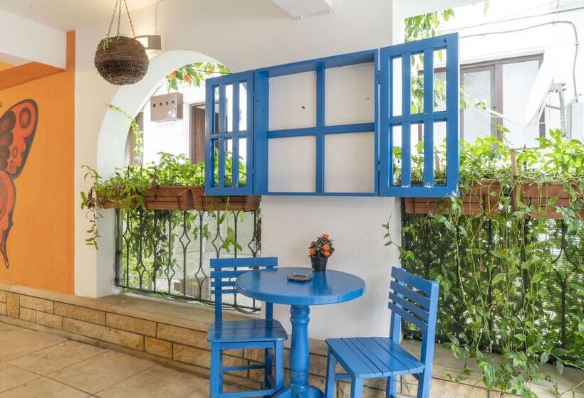 Estudio Estàndard, Mandalin Akyaka