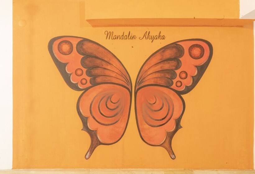 Estudio Estàndard, Mandalin Akyaka