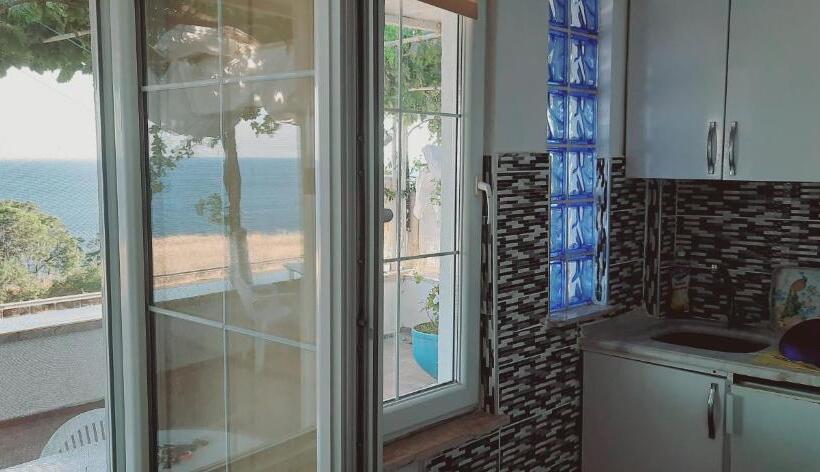 ファミリーステューディオ, Dallas