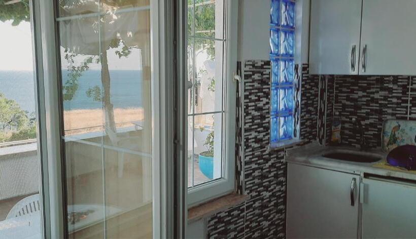 ファミリーステューディオ, Dallas