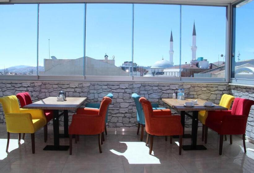 اتاق اکونومی, Elazig Gunay