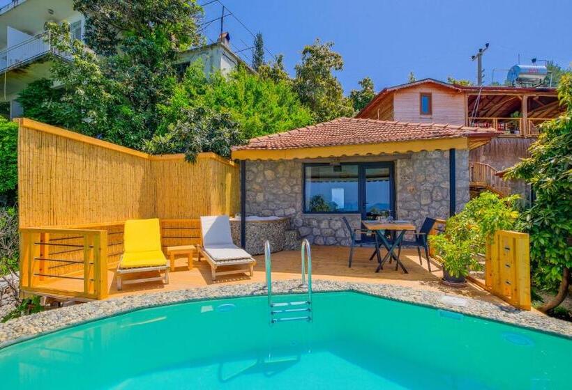 Люкс с Бассейном, Faralya Yoruk Evi Suite   Adults Only