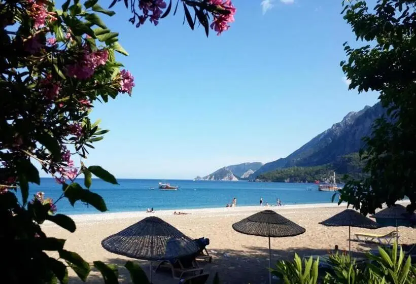 Standard Kolmen Hengen Huone Parveke, Hanei Keyif Pension